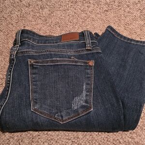 Judy Blue Relaxed Fit Jeans